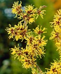 12179-02-BAKIE_20120504162500