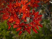 3680703340_c3657c25ec_b