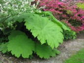 3ebf9bafcf13434b5a6930fbf6b956f2