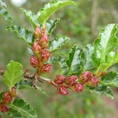 496941974_1267809152017824_3706102618880584277_n