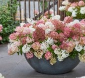 726999aa-873b-0837-fa12-2b2d1f0d5e53