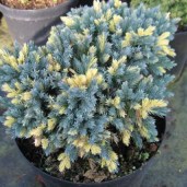 976c02db45e2697de0134a1ab8d5c228