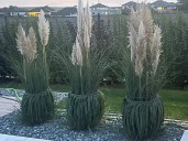 9820ceaa6115a3dda00232f4b51eb3e9