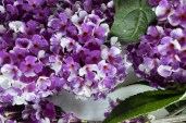 Bud-Berries-Cream-6-Aug-2021a-f-1100x730