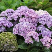 You-and-Me-Together-01