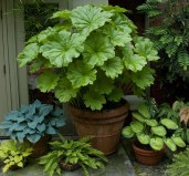 a2d85451fccae4d0f993cec8638cae07