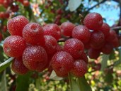 a71eb08b350426b2891f71e7eadd0246