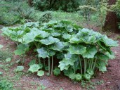 a8aa61783e9562d35a021fc2c5740c0e