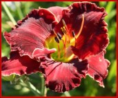 clip_image046