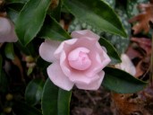 dscn8607