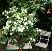 galerie_DSC06974