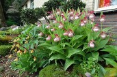 garten15