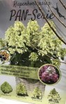gortenzija-panflora-500x500