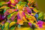 holt_780_0759_1920c