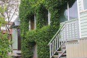 img_0425_800_auto