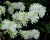 nDSC_0350