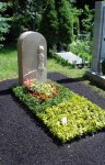 sonder-grabanlage-geteilt-euonymus-grabpflege-brumm-friedhof-muenchen