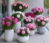 557746362_1404302215040065_2766946459465499500_n