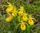 9343957586_5c23d8574b_b