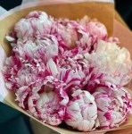 500x500.5e69333d54954b8