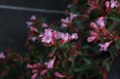 ABEGOUCH_20160729134712
