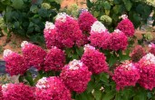 IMG_20211022_092202