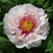 NB27.Cloud-Atlas-2
