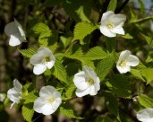 a_15916_58760