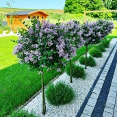 af2dc8303f1e19ca64a1056c45b6c872