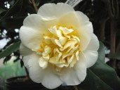 ee4d4ddd9f56bfda5fdd63aa068a6284