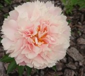 f287584b2794acde4d97f48fb77611b0