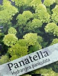 gortenziya-panatella