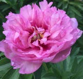 hvzaglwqz9wq6a1mgophzebklk8dh6lb