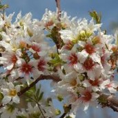 images58