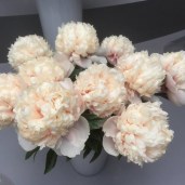 thumb_1544_600_600_0_0_crop